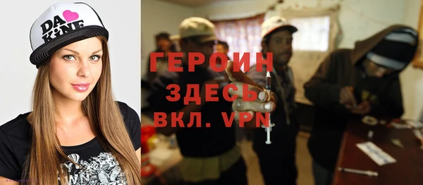 индика Протвино