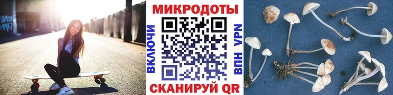 Галлюциногенные грибы мицелий  Сенгилей 