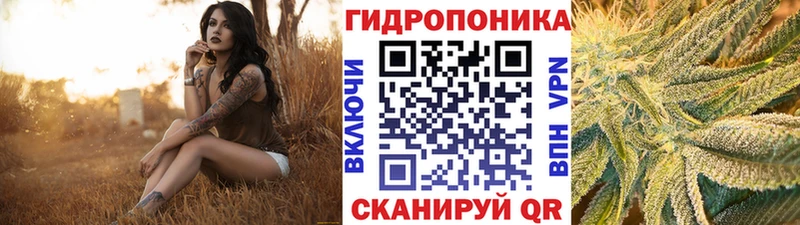 Конопля MAZAR  как найти закладки  Сенгилей 